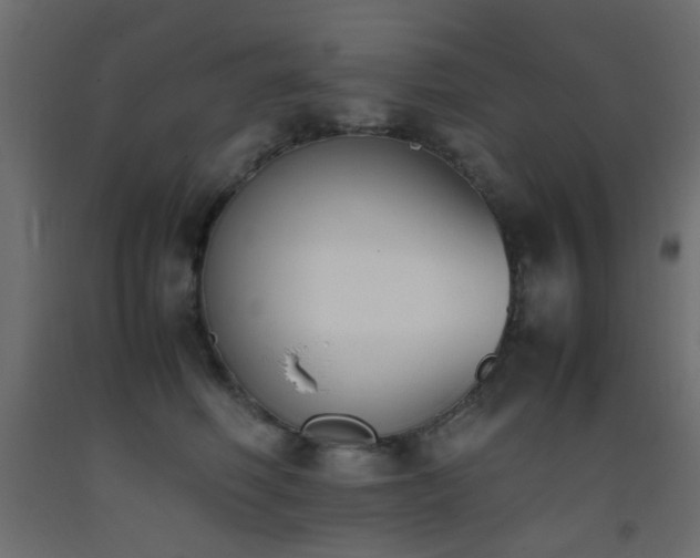 X0000093390614200710111516