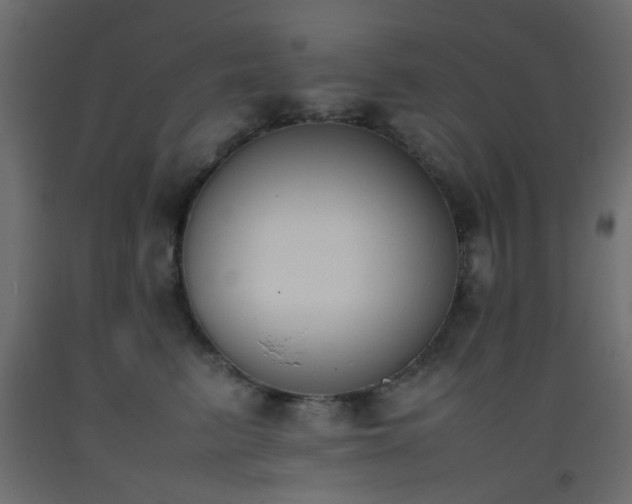 X0000093390615200710111516