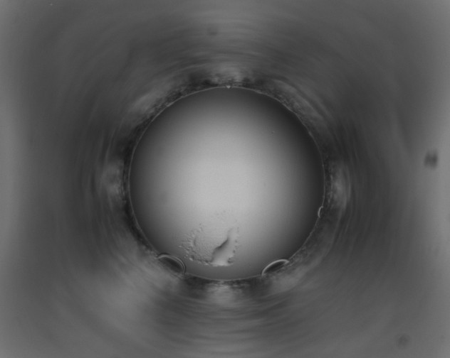 X0000093390616200710111516