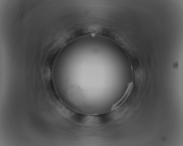 X0000093390617200710111516