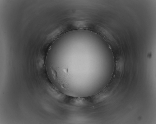 X0000093390618200710111516