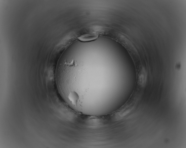 X0000093390620200710111516