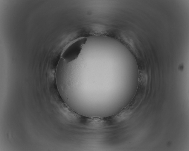 X0000093390621200710111516