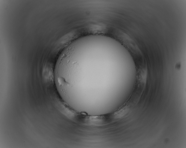 X0000093390622200710111516