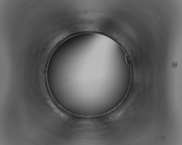 X0000093390625200710111516