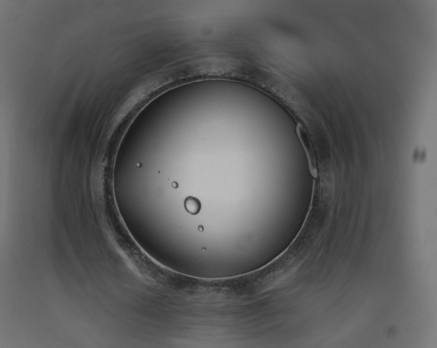 X0000093390626200710111516