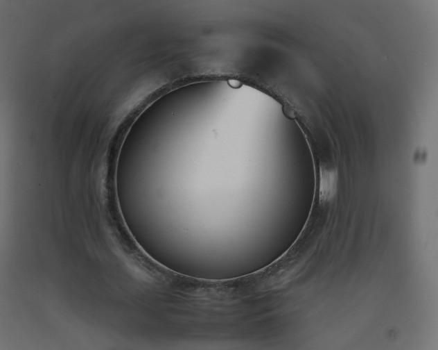 X0000093390627200710111516