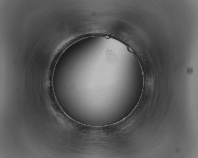 X0000093390628200710111516