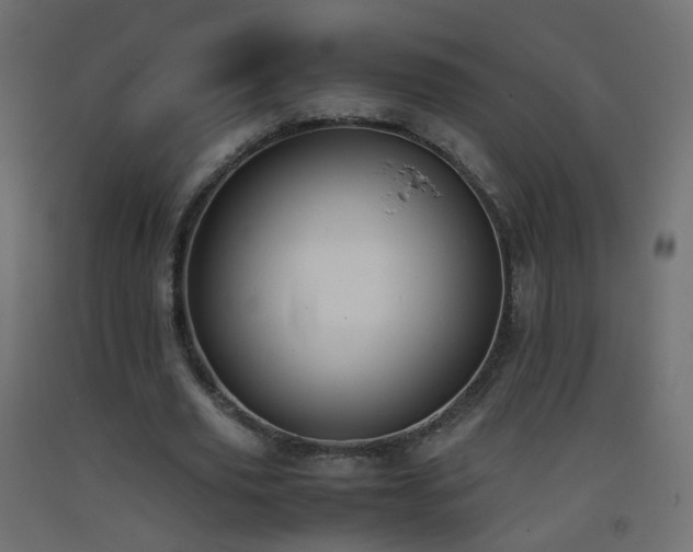 X0000093390629200710111516