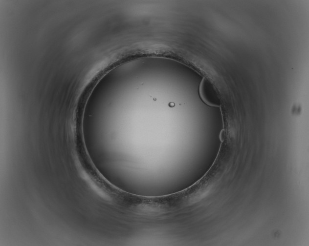 X0000093390630200710111516