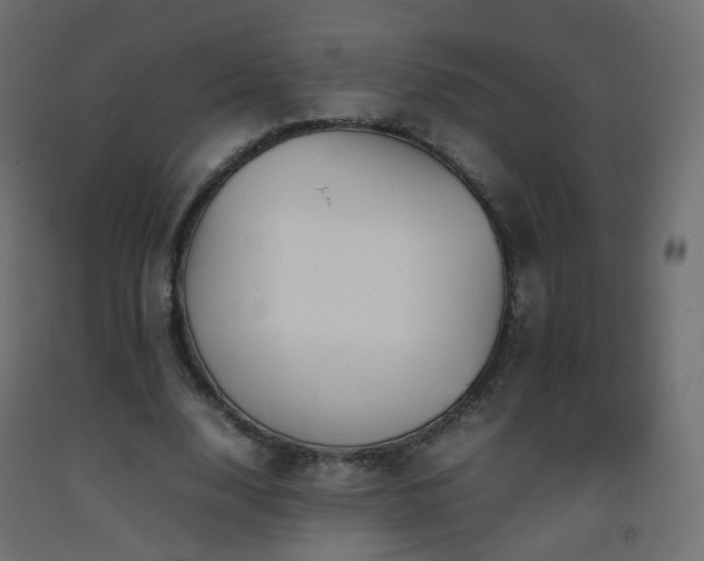 X0000093390632200710111516