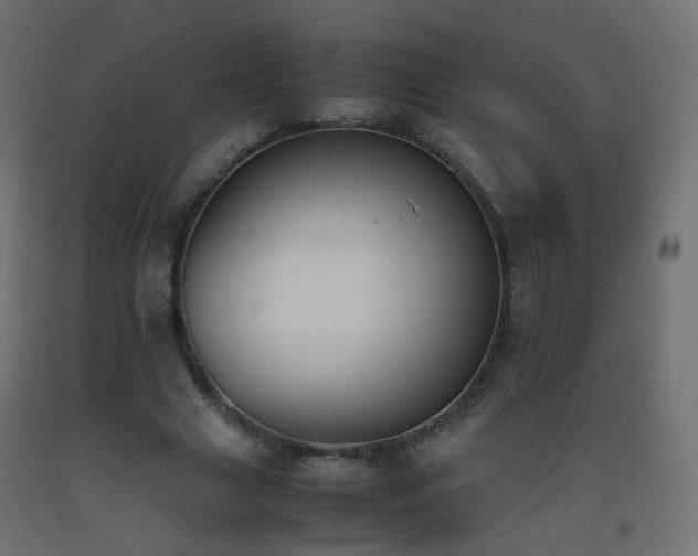 X0000093390633200710111516