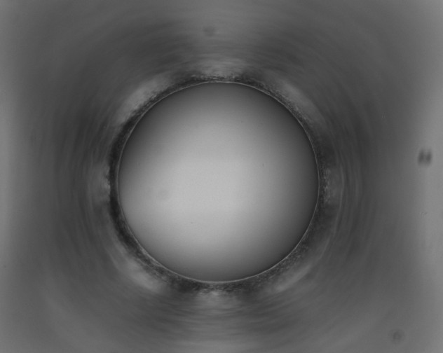 X0000093390634200710111516