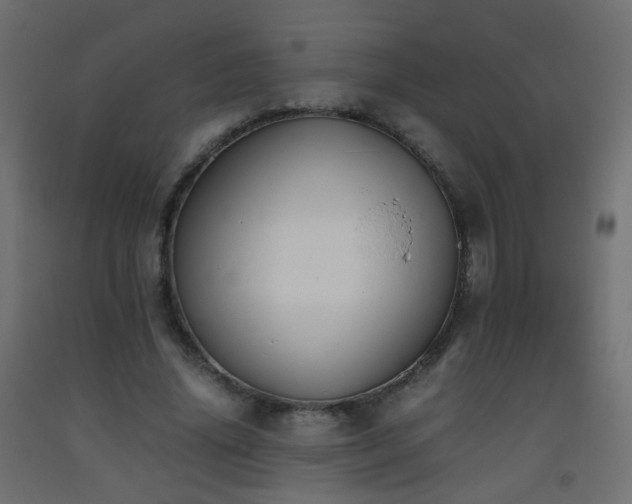 X0000093390636200710111516