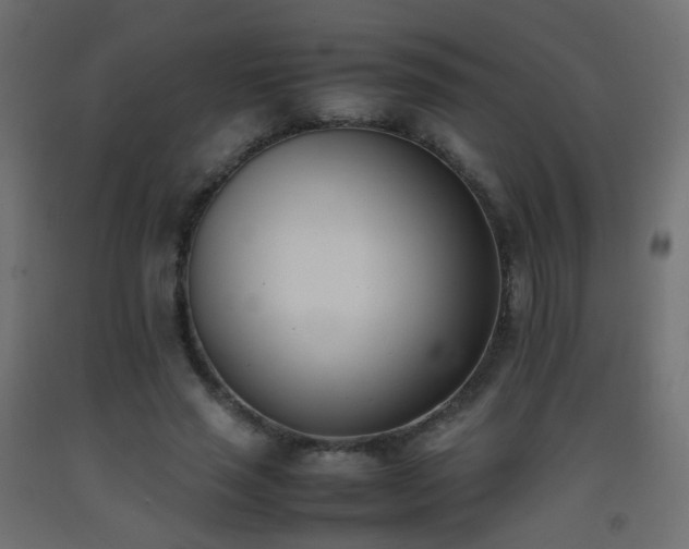 X0000093390637200710111516