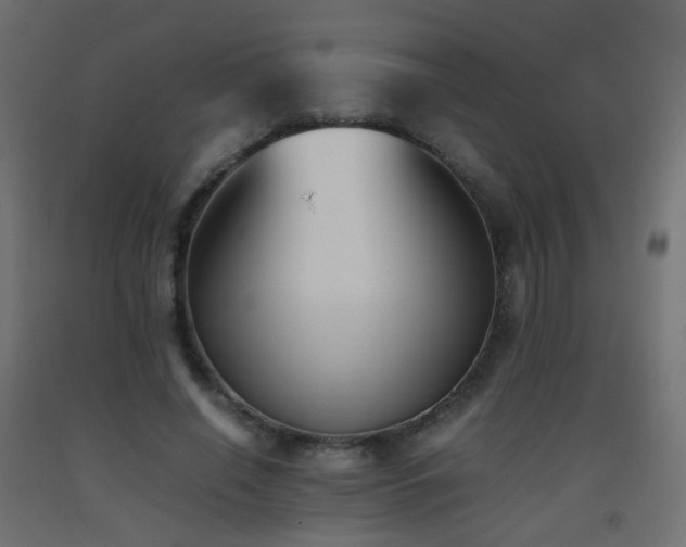 X0000093390638200710111516