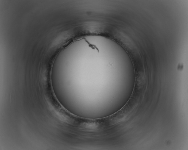 X0000093390639200710111516