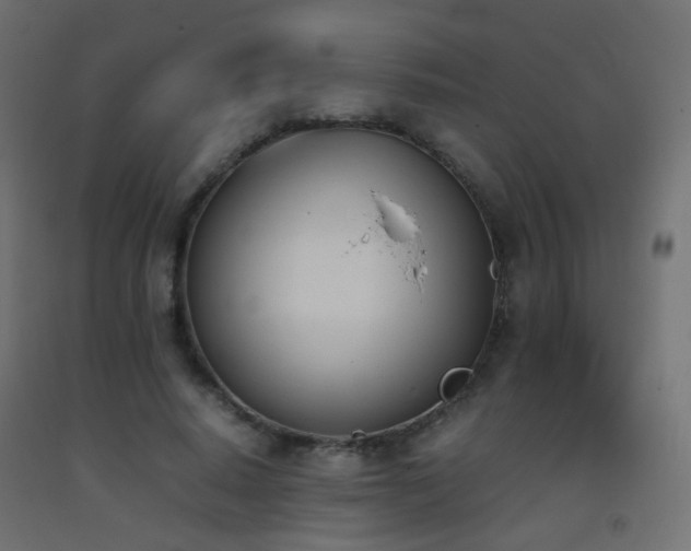 X0000093390640200710111516