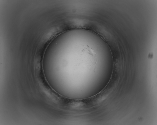 X0000093390642200710111516