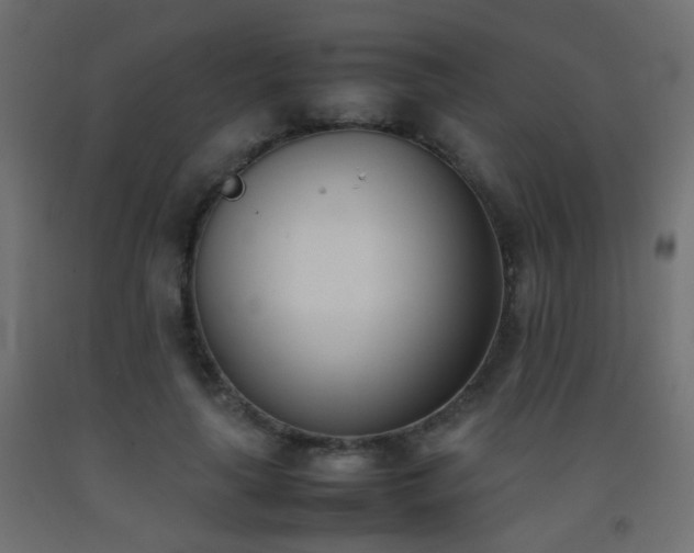 X0000093390643200710111516