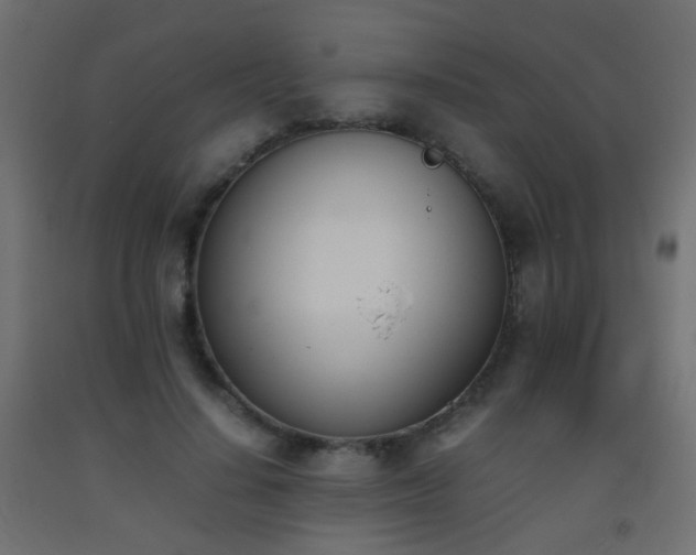 X0000093390644200710111516