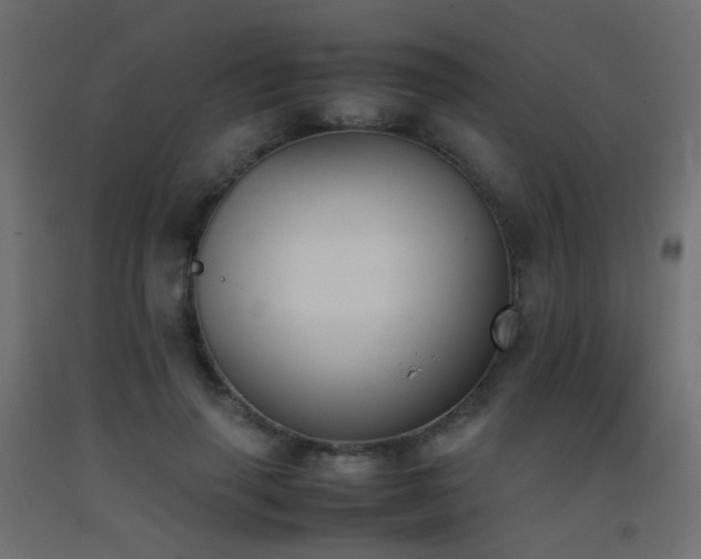 X0000093390645200710111516