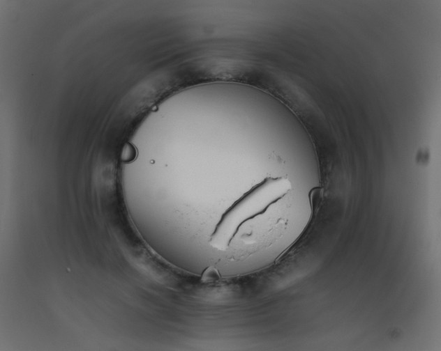 X0000093390646200710111516