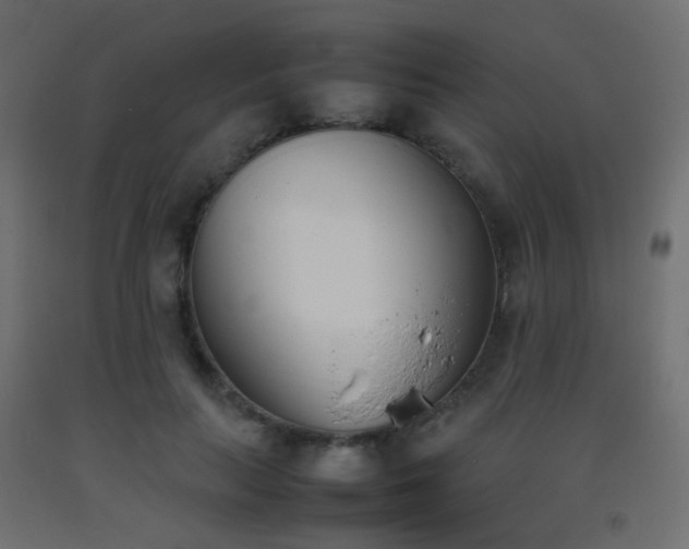 X0000093390647200710111516