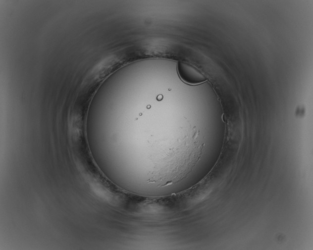 X0000093390648200710111516