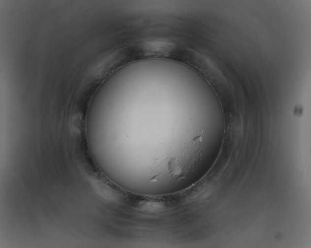 X0000093390649200710111516