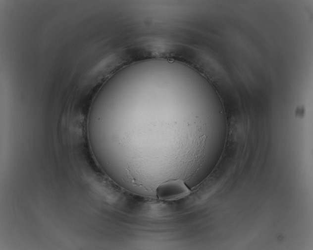 X0000093390650200710111516