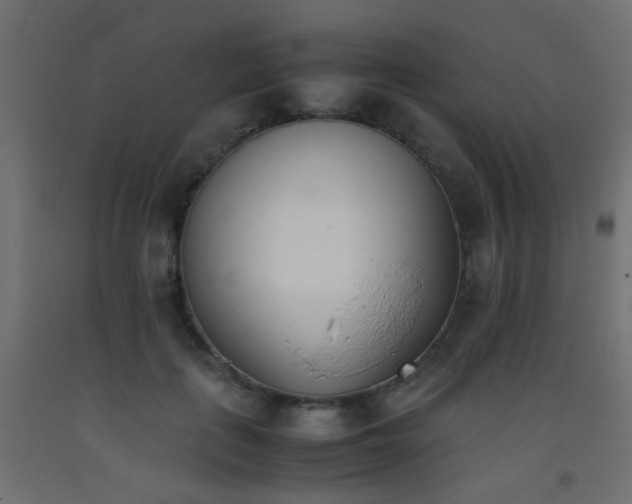 X0000093390651200710111516