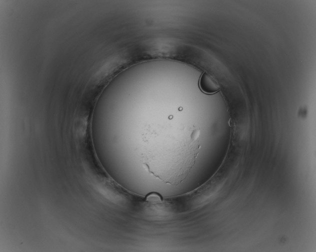 X0000093390652200710111516