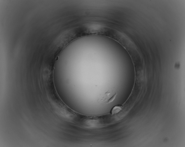 X0000093390653200710111516