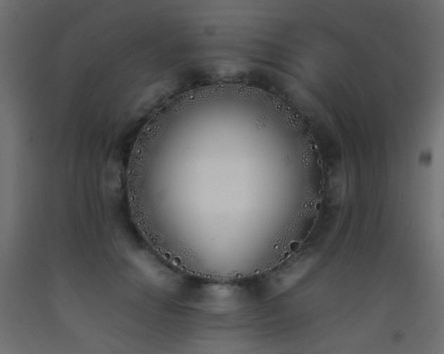 X0000093390654200710111516