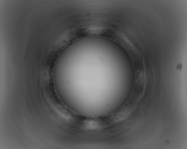 X0000093390655200710111516