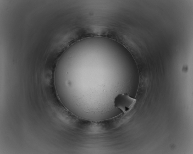 X0000093390656200710111516