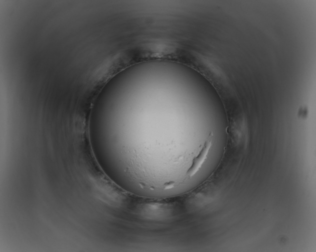 X0000093390657200710111516