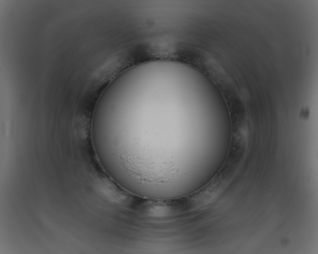 X0000093390658200710111516