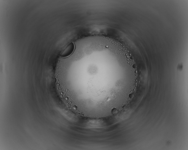 X0000093390659200710111516