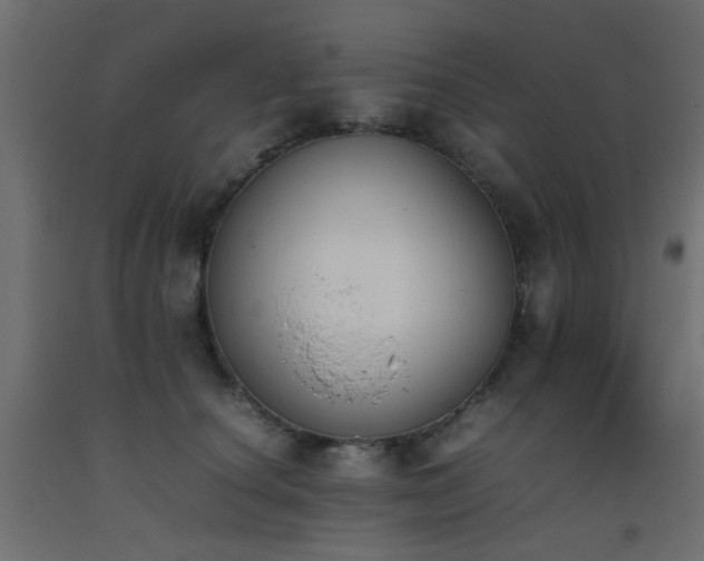 X0000093390660200710111516