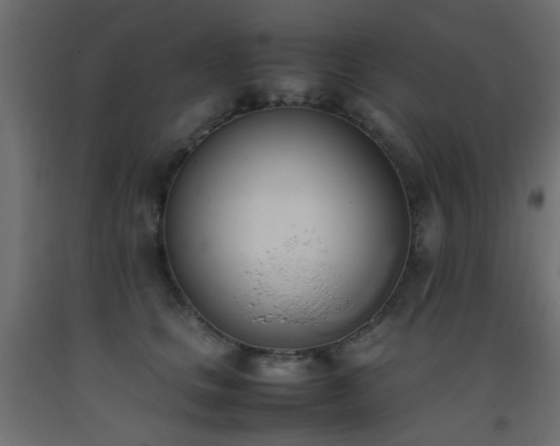 X0000093390661200710111516