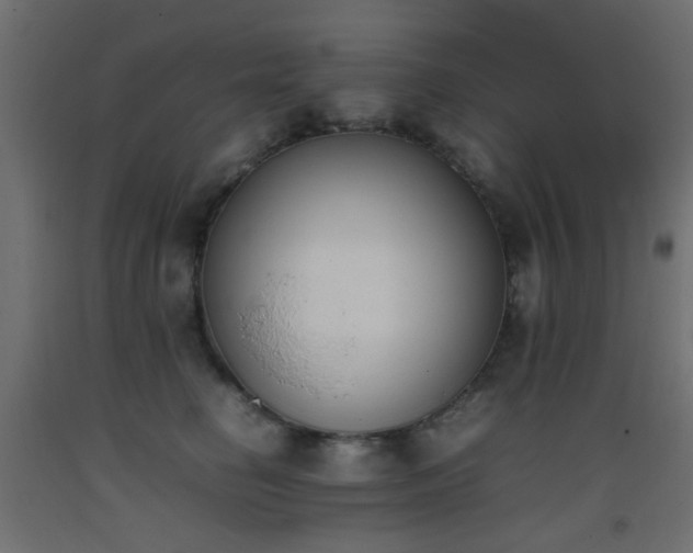 X0000093390662200710111516