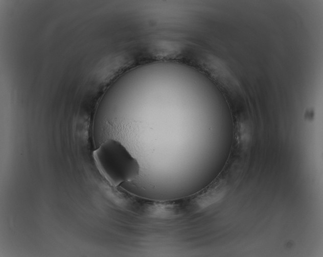 X0000093390664200710111516