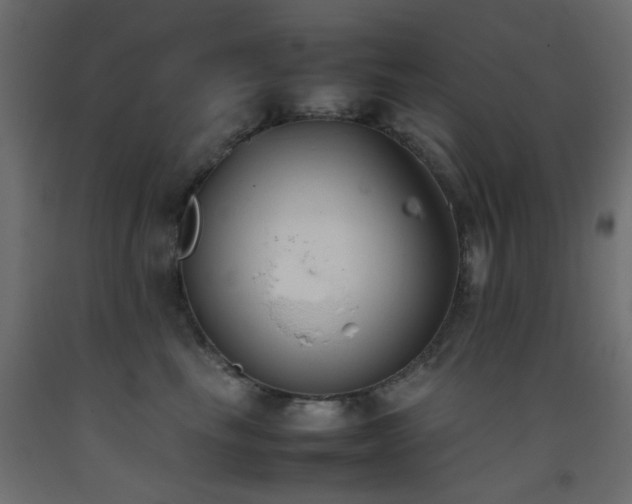 X0000093390665200710111516