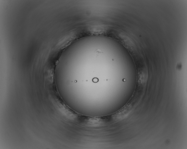 X0000093390666200710111516