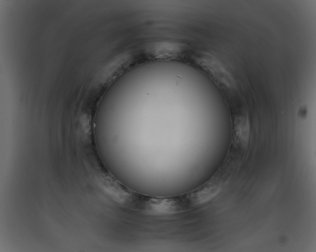 X0000093390667200710111516