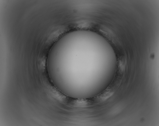 X0000093390668200710111516