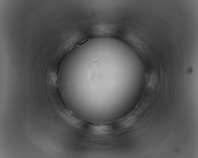 X0000093390669200710111516