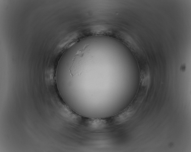 X0000093390670200710111516